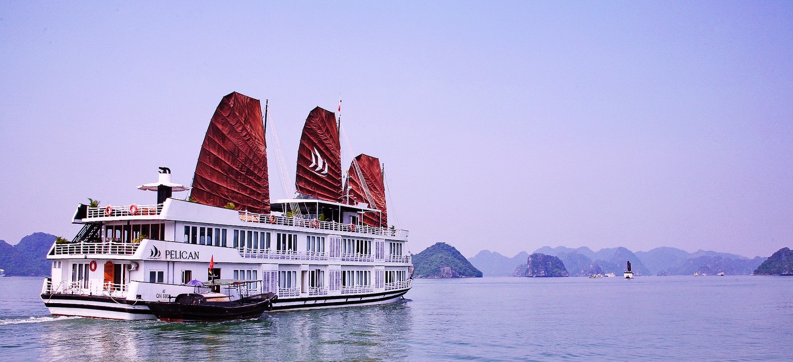 Pelican Cruise