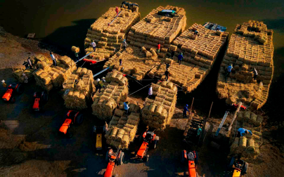 Amazing Family Tour Packages in Vietnam: 8 Days