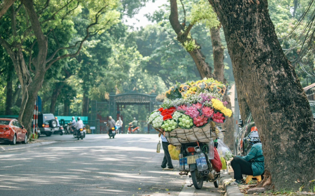 Best Vietnam Family Vacation: 10 Days from North to South