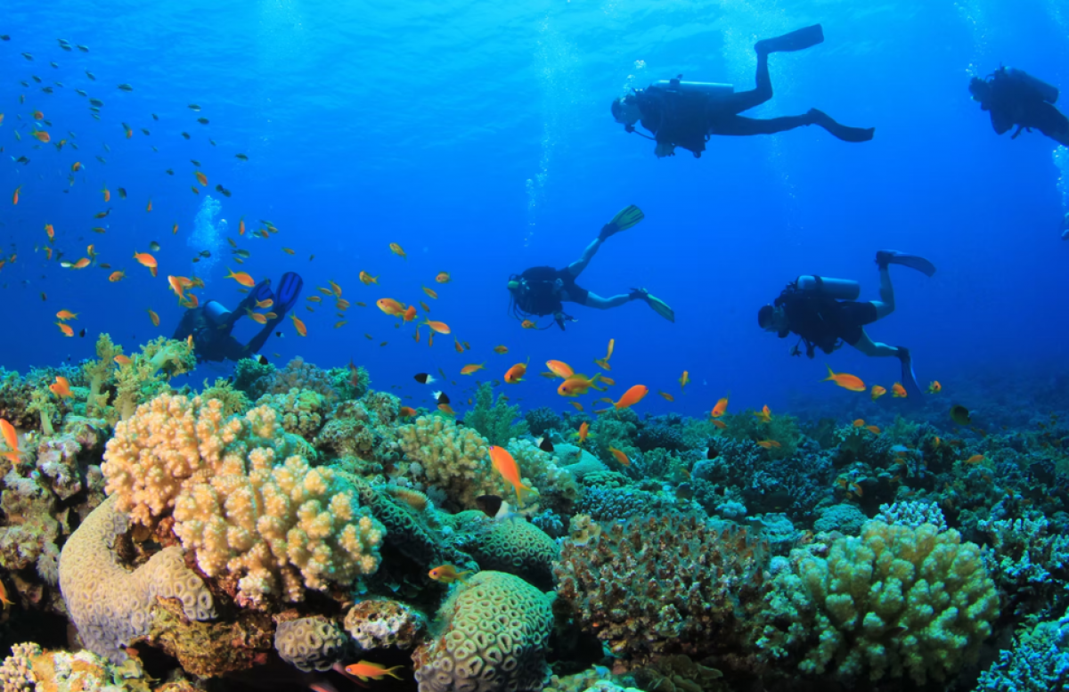 Classic Tour Package of Southeast Asia - 15 Days
