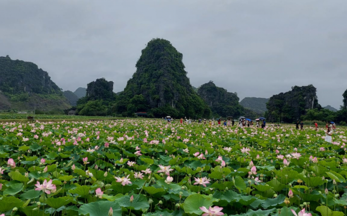 Authentic Northern Vietnam Vacation - 5 Days
