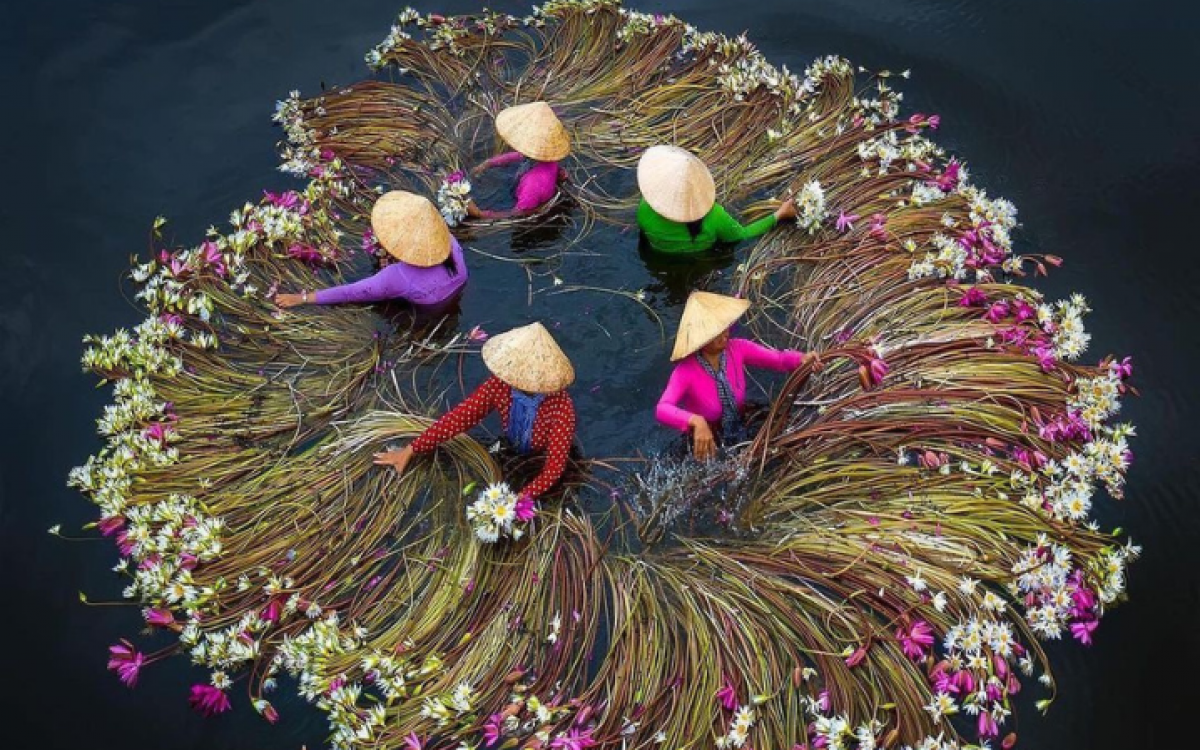 Family Vacation Packages in Vietnam: 12 Days