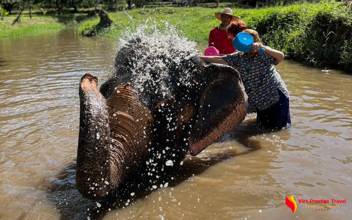 Magnificence of Vietnam, Thailand & Singapore Tour - 21 Days