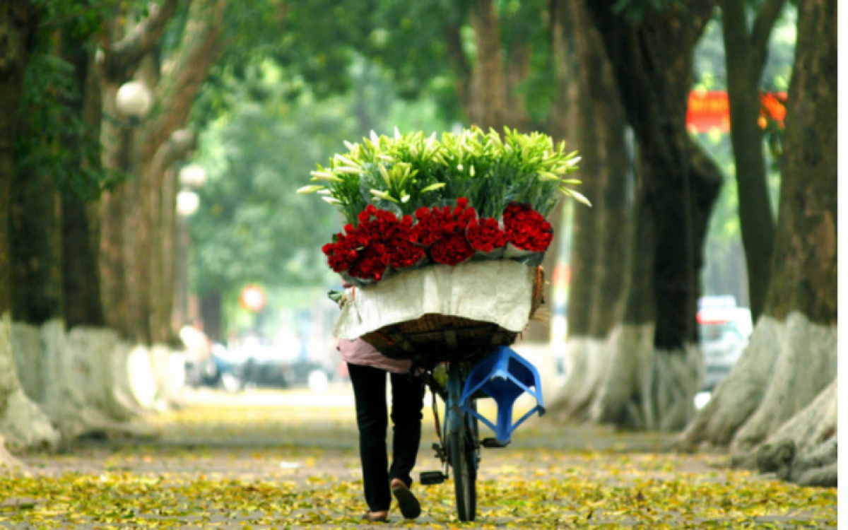 5-Star Holiday: 15 Days in Vietnam and Cambodia