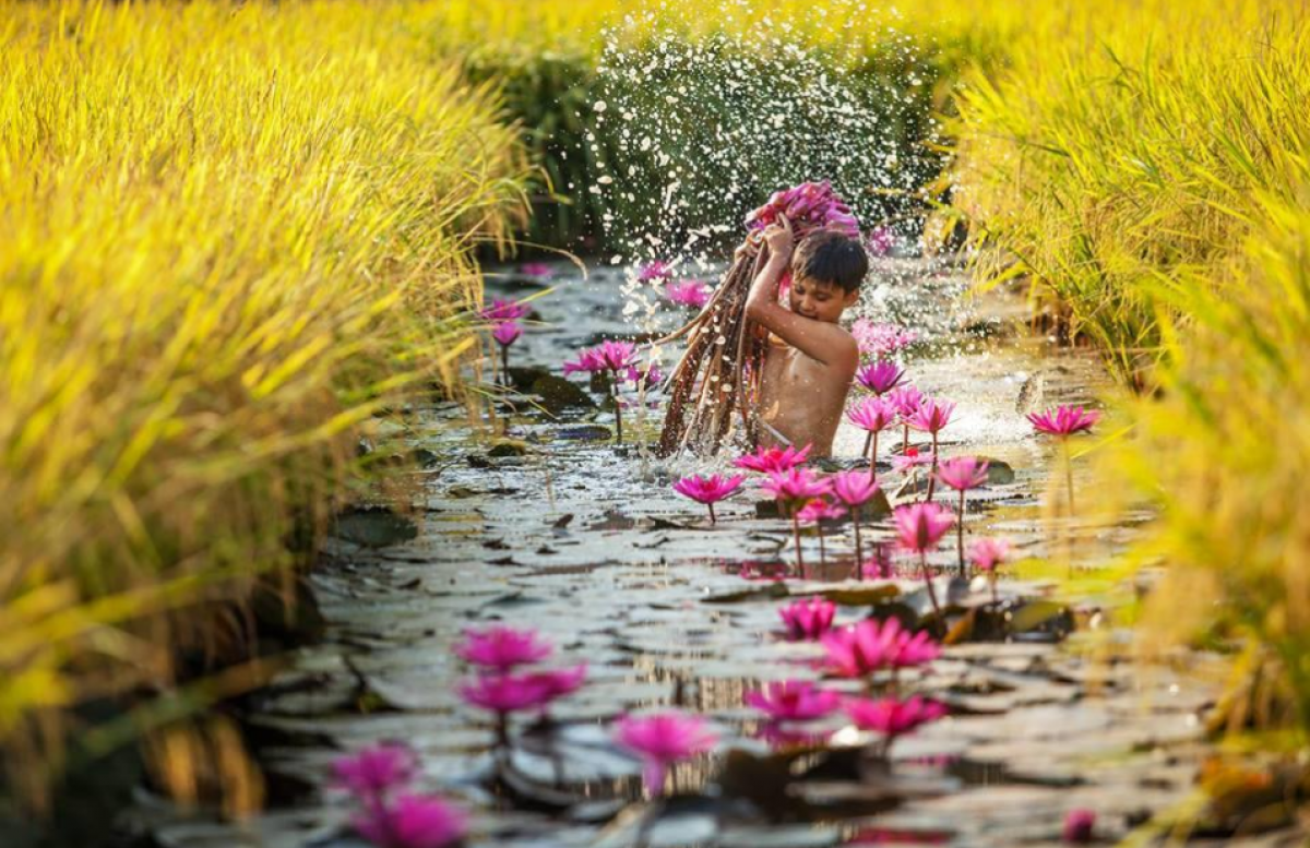 Travel Package to Vietnam, Cambodia, and Thailand – 15 Days