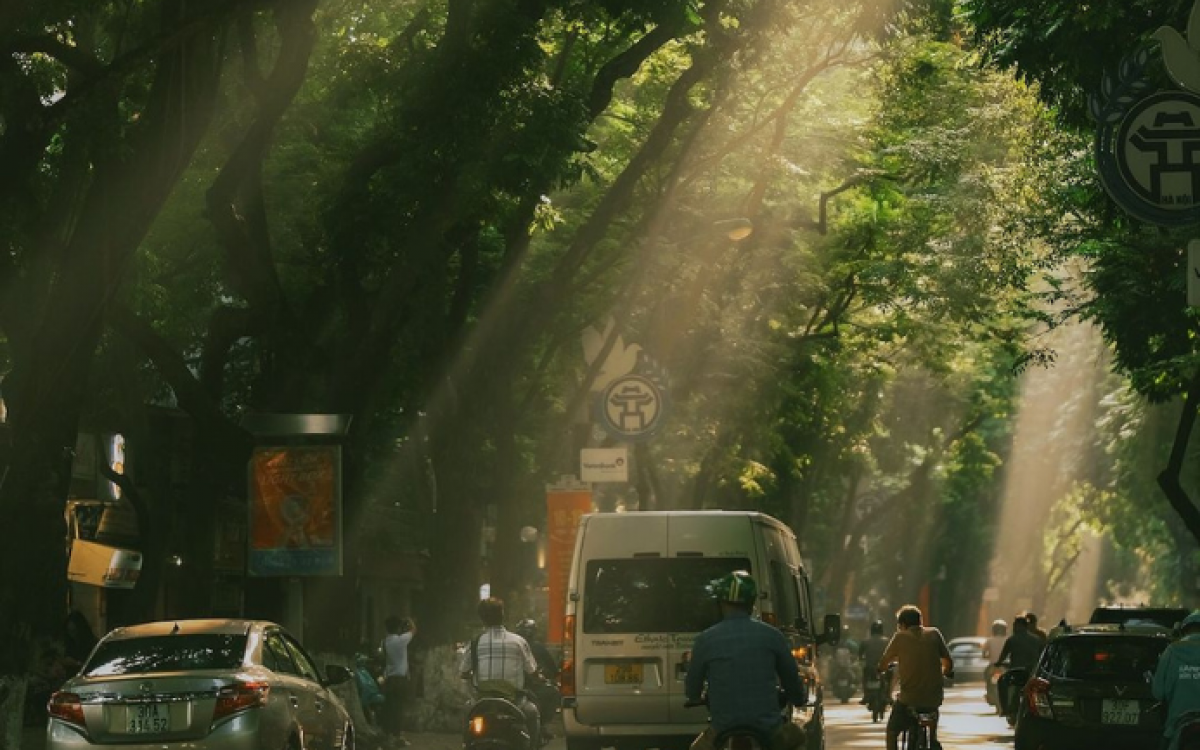Vietnam Discovery: Hanoi, Halong Bay, Hoi An (6 Days)