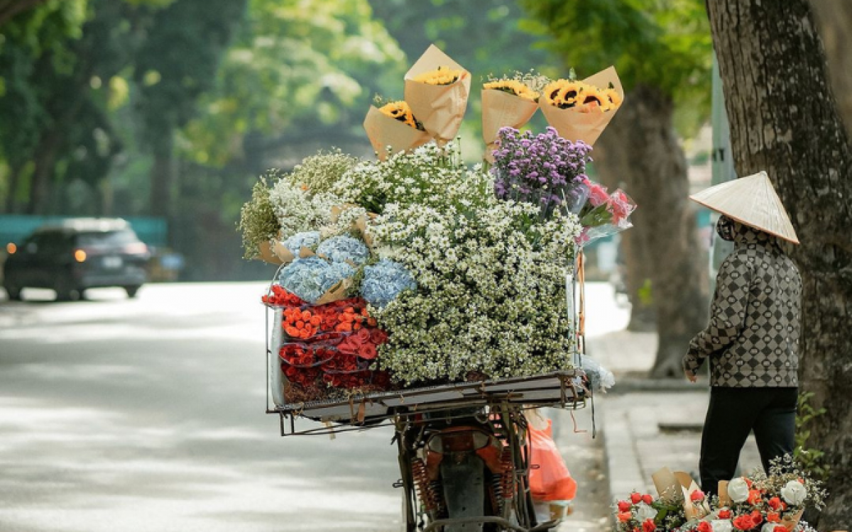 Vietnam Expedition: North to South Incredible Journey (6 days)