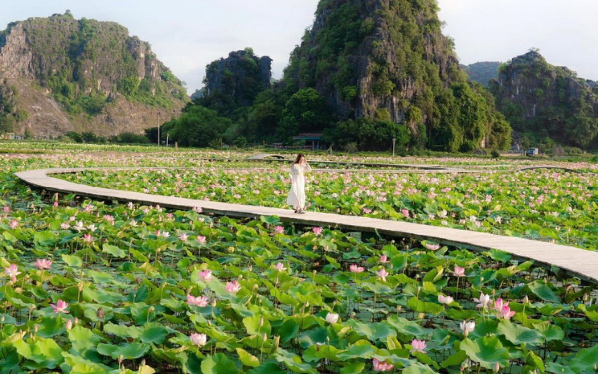 Vietnam Exploration Family Tour Package: 11 Days