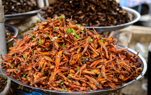 Allure of Southeast Asia Tour Package: 14 Days