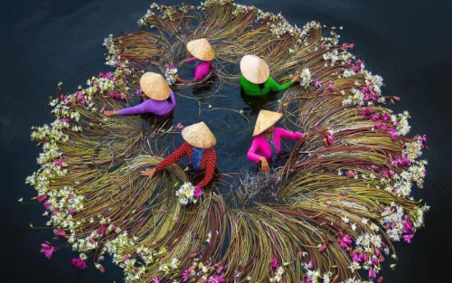 Amazing Family Tour Packages in Vietnam: 8 Days