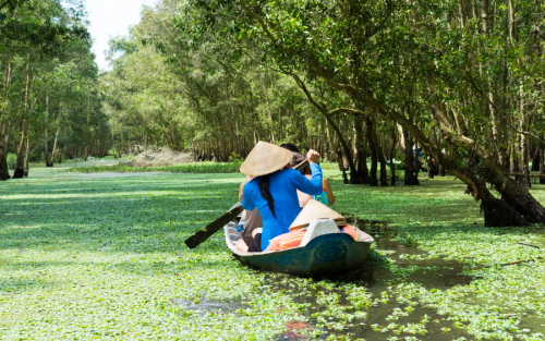 Amazing Family Tour Packages in Vietnam: 8 Days