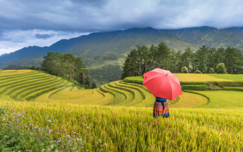 Amazing Vietnam Holiday Package Tour: 14 Days