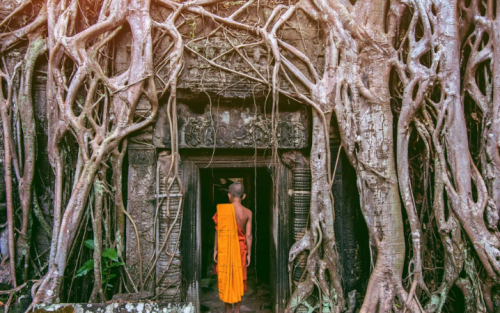Cambodia Discovery Tour - 8 Days