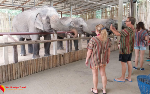 Combined Trip to Thailand, Vietnam and Cambodia – 18 Days