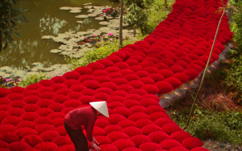 Vietnam's Highlights from North to South Package Tour - 10 Days
