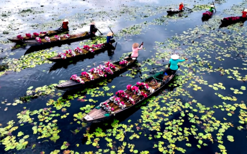 Vietnam Journey: Excellence in Tour Packages - 12 days