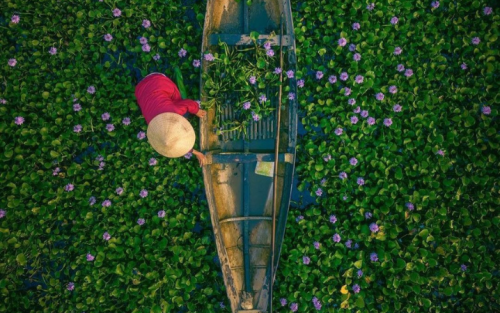 Family Vacation Packages in Vietnam: 12 Days