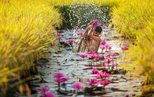 Historic Vietnam Exploration Tour Package: 11 Days
