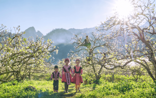Nature Adventure: North Vietnam 6-Day Trekking Tour