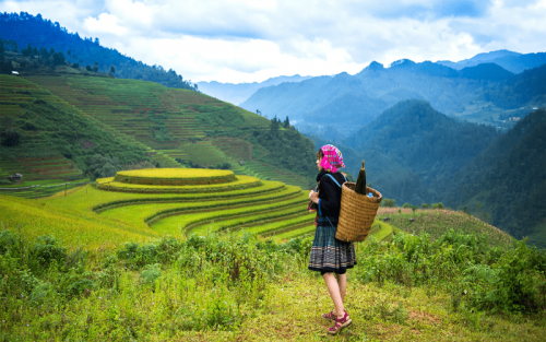 Northeast Vietnam Adventure: 11 Days unravel hidden gems