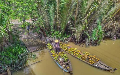 North to South Vietnam Wonders Package Tour - 7 Days