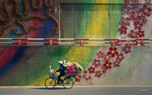 Vietnam Exploration: Hanoi, Halong Bay Tour (5 Days)