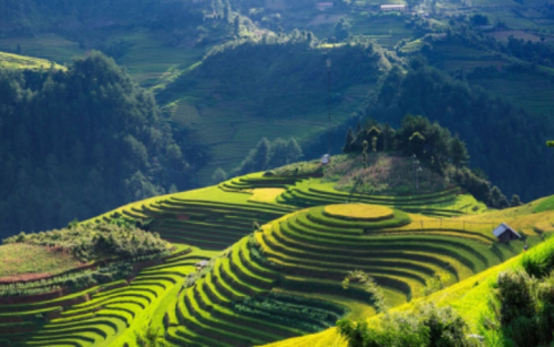 Vietnam Highlight Vacation