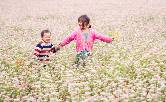 Northeast Vietnam Family Holiday - 11 days