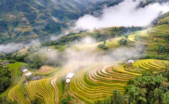 ha giang